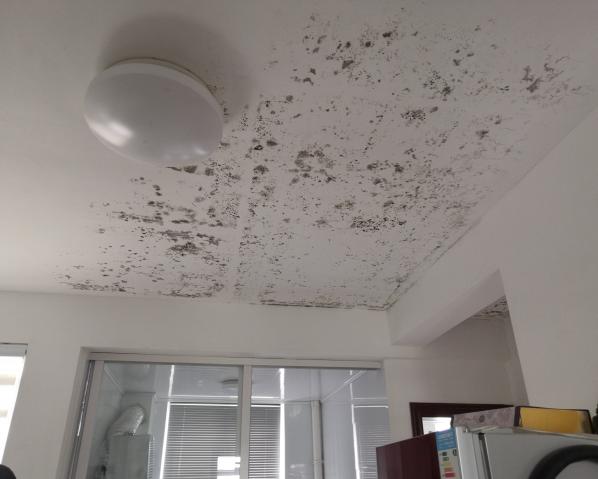 深化黨建推動(dòng)引領(lǐng)，提升租戶居住幸福指數(shù)