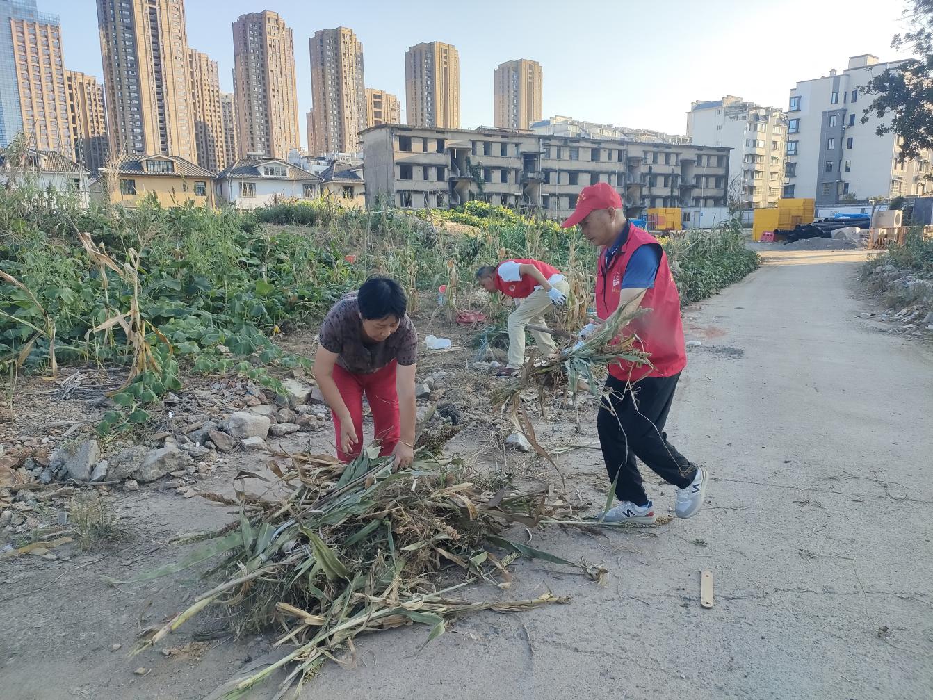 黨員進社區(qū)：守護綠色家園，彰顯國企擔當