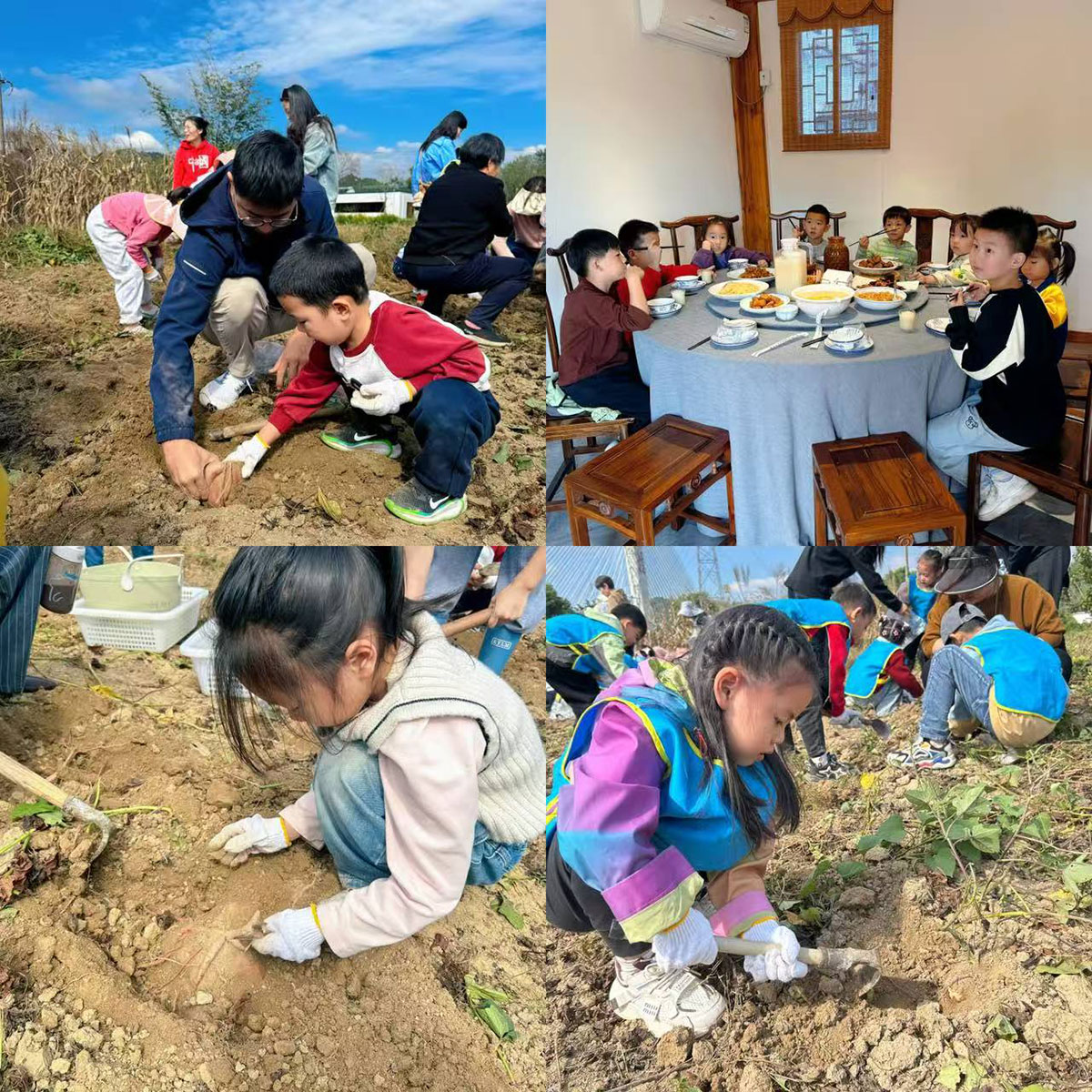 南溪南村：以薯為媒繪新景，活動(dòng)賦能興鄉(xiāng)村