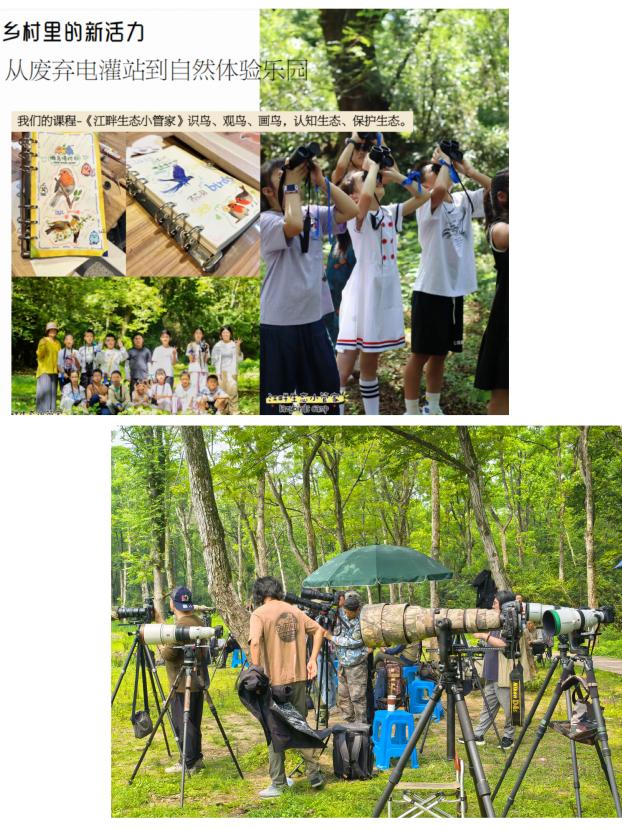 8000萬熱度炸屏！屯溪“護村小祖宗”聯(lián)動短劇頂級頭部平臺帶火綬帶鳥，短劇+文旅解鎖鄉(xiāng)村振興新密碼