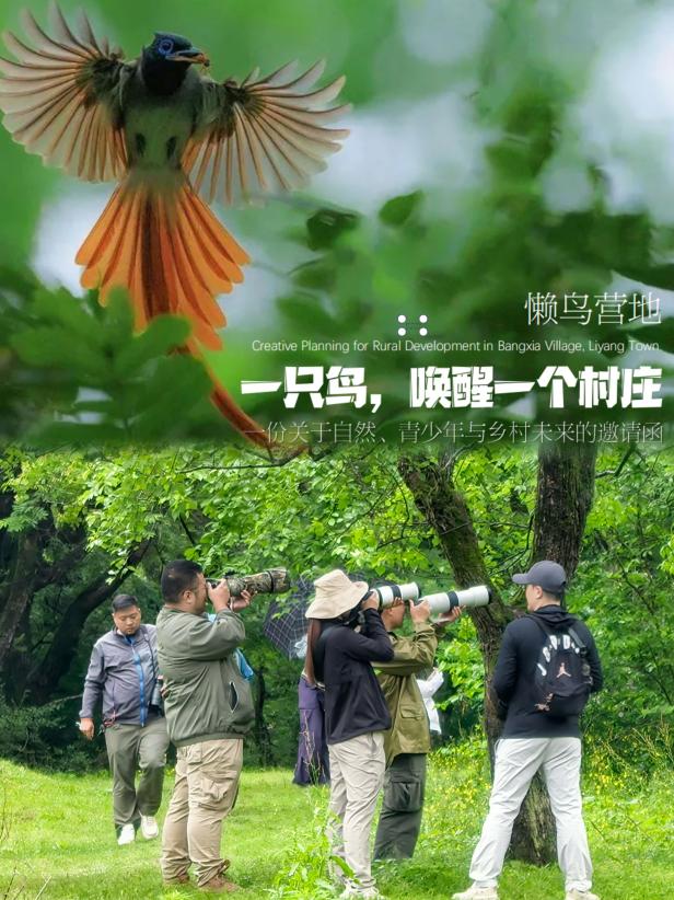 8000萬熱度炸屏！屯溪“護村小祖宗”聯(lián)動短劇頂級頭部平臺帶火綬帶鳥，短劇+文旅解鎖鄉(xiāng)村振興新密碼